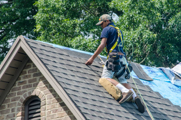 Best Roof Maintenance Services  in Neodesha, KS